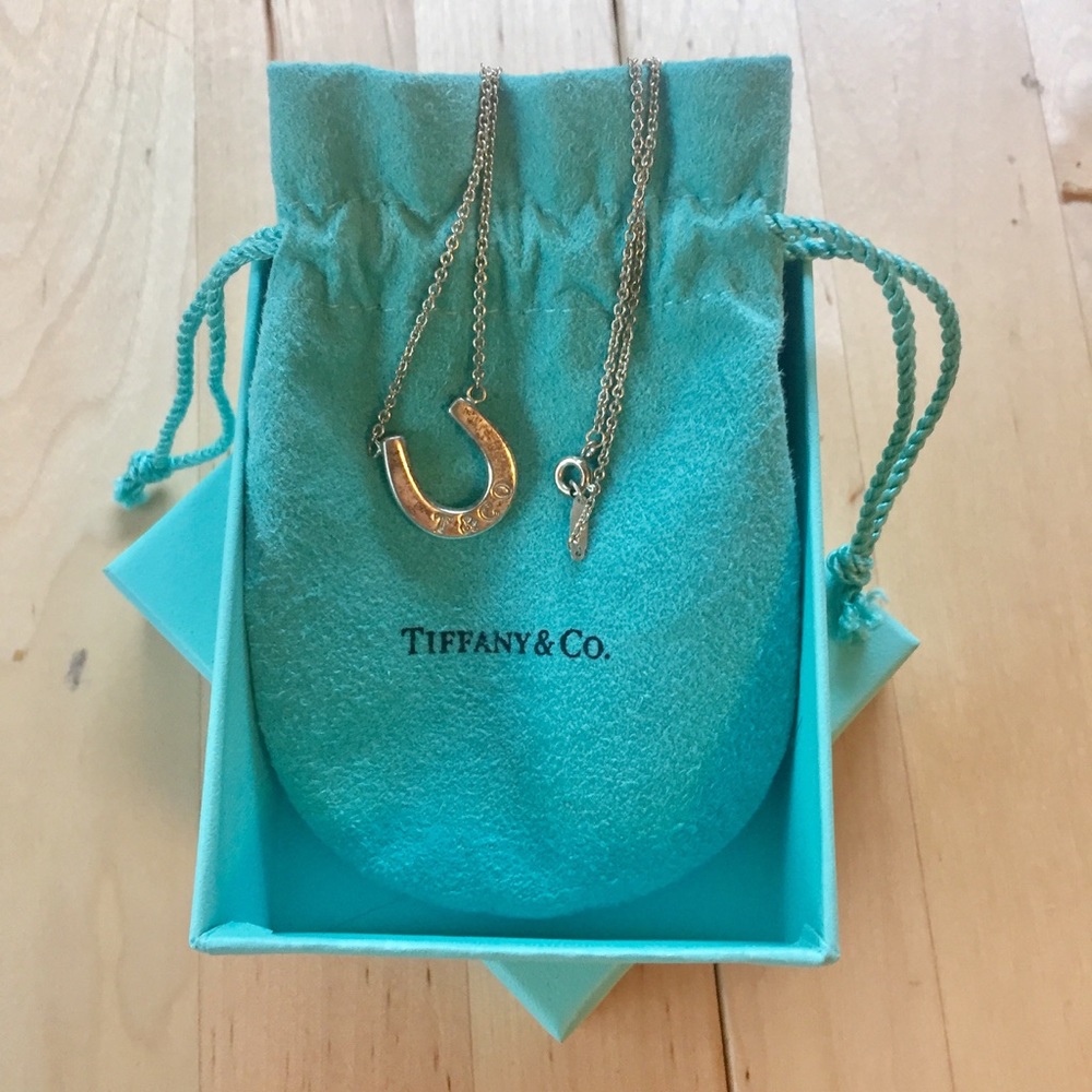 Tiffany and Co Silver Horseshoe Necklace